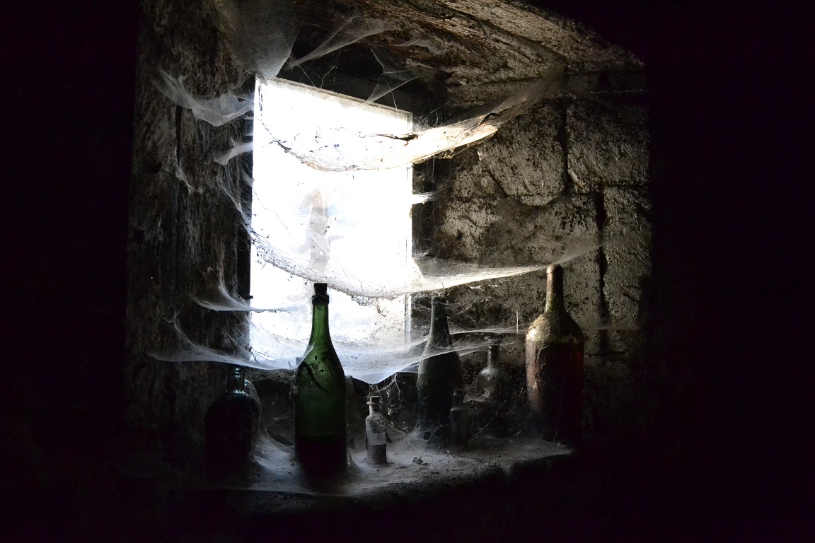 Spider Webs in Cognac Cellar