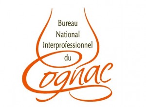 bnic-logo