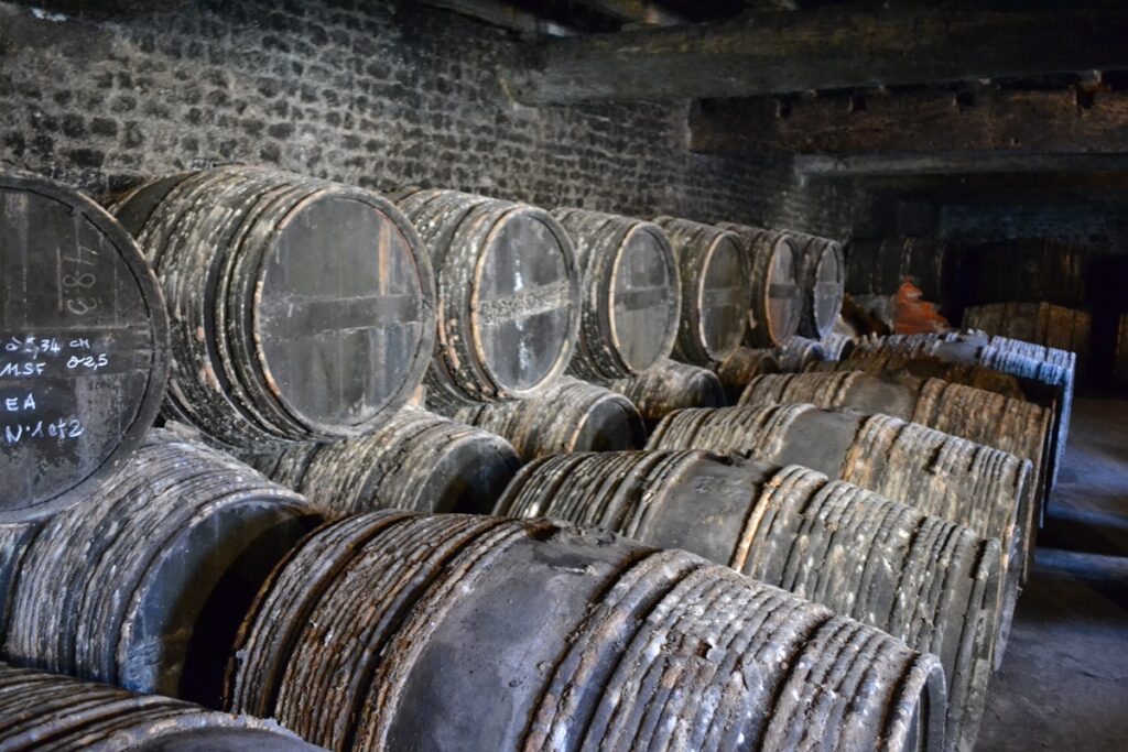 Cognac Frapin Lower Cellar